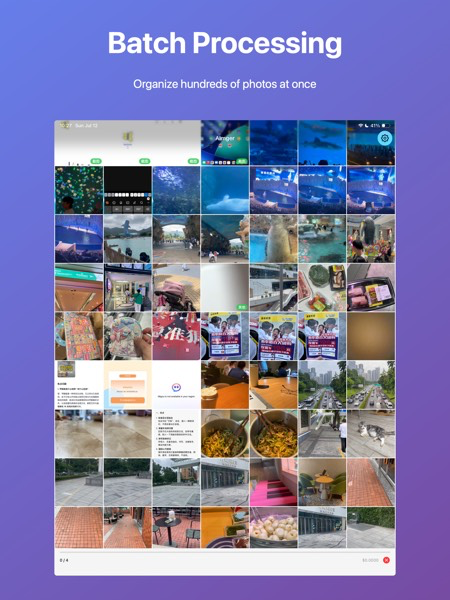 AImger iPad - Batch Processing